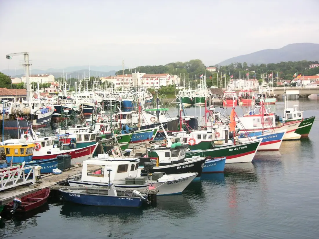 Location de Vacances Saint-Jean-de-Luz 506