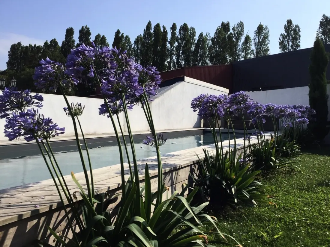 Maison de Vacances Saint-Jean-de-Luz 403