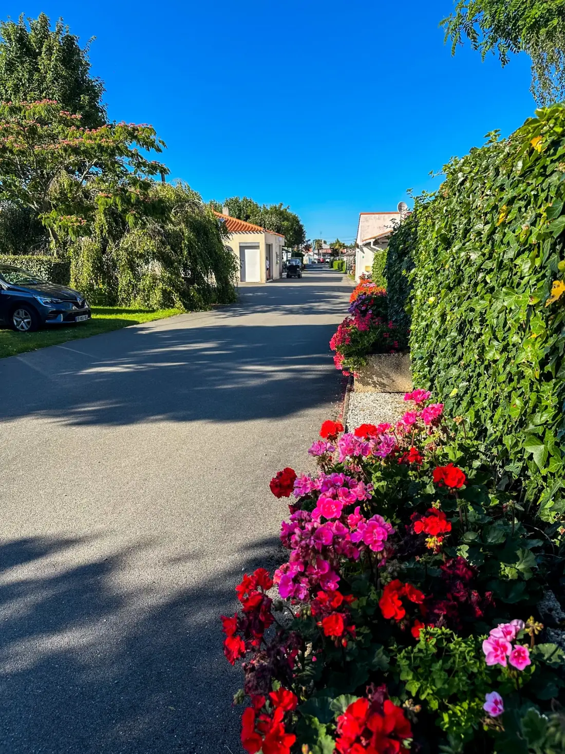Camping Aux Coeurs Vendéens 4 étoiles★★★★