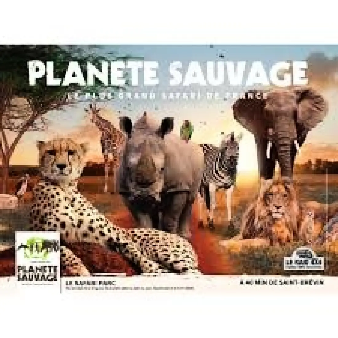 Camping L'Abri des Pins 4 étoiles★★★★