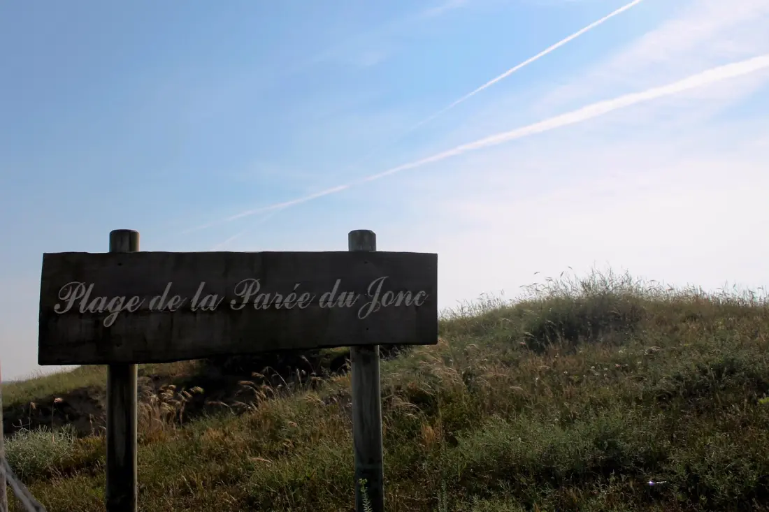 Camping L'Abri des Pins 4 étoiles★★★★