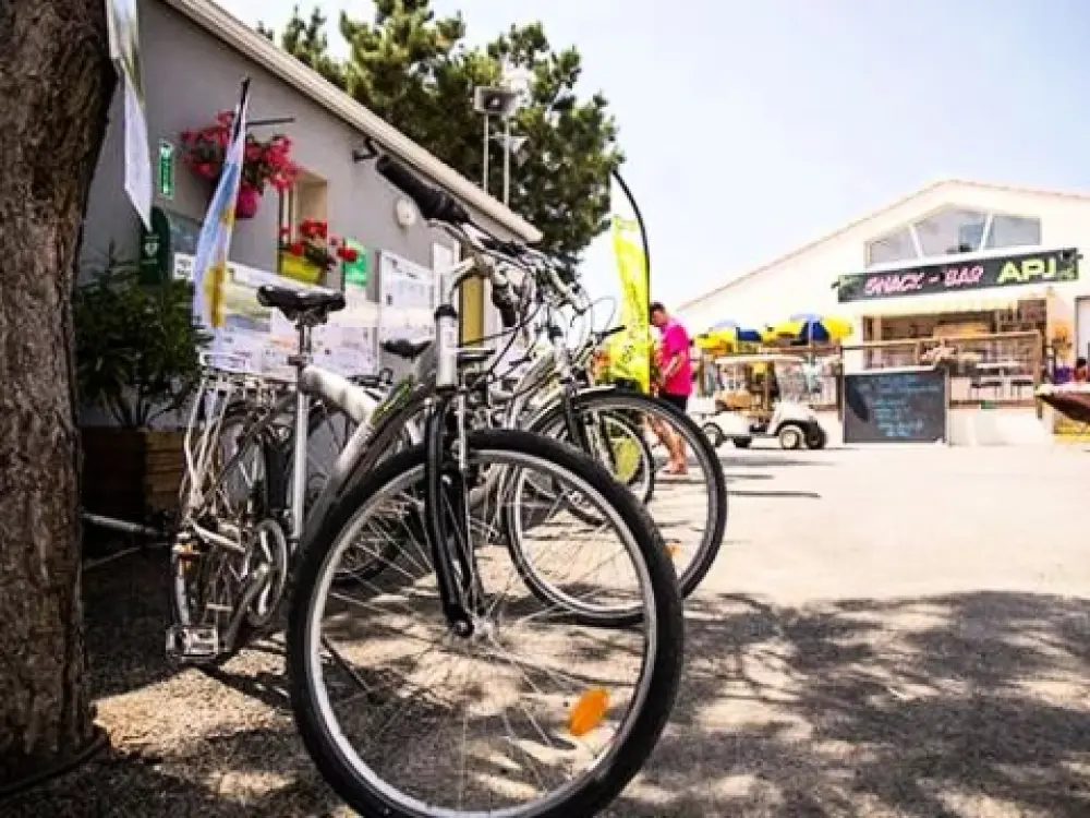 Camping La Parée Du Jonc  3 étoiles★★★