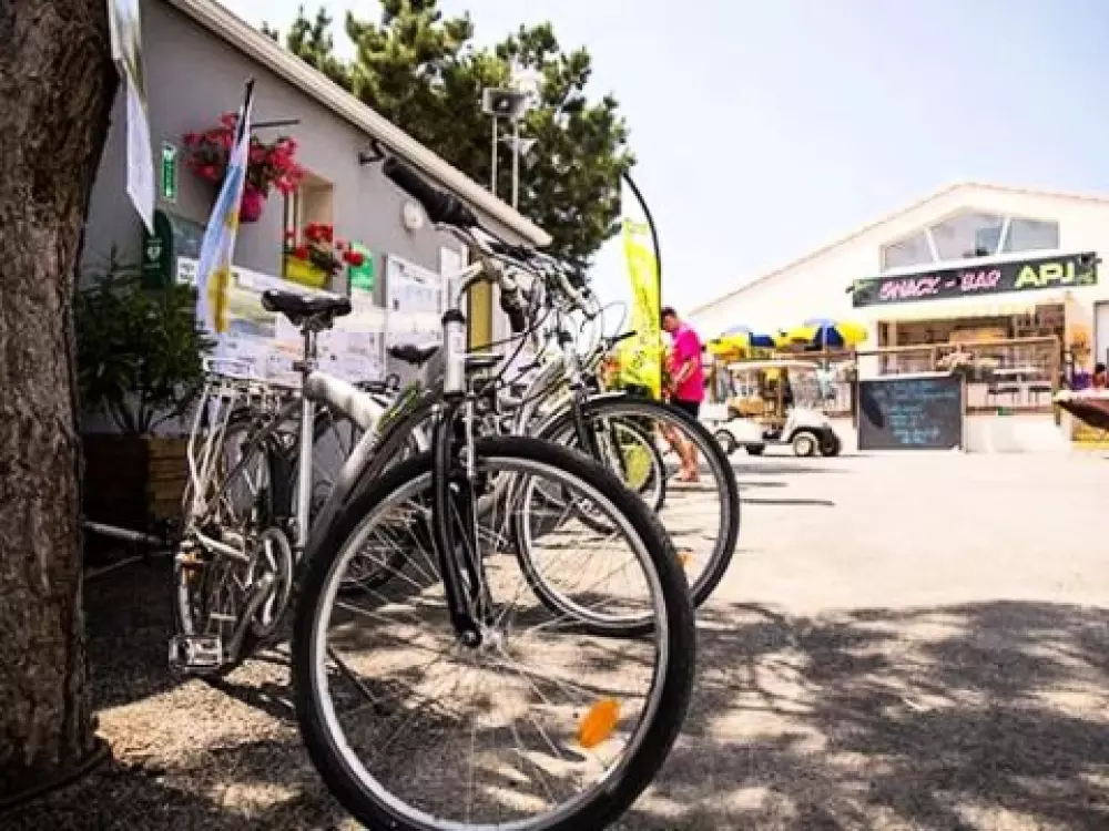 Camping La Parée Du Jonc  3 étoiles★★★