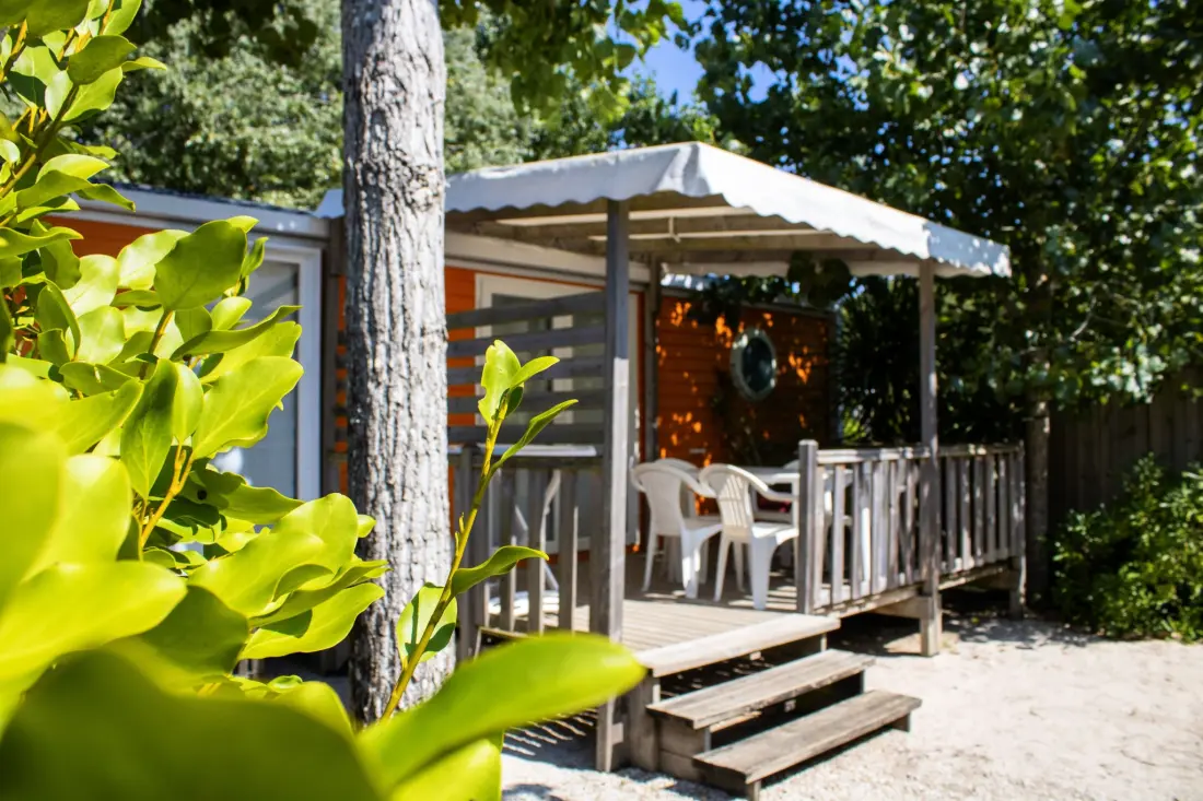 Camping Le Bois Verdon 4 étoiles★★★★