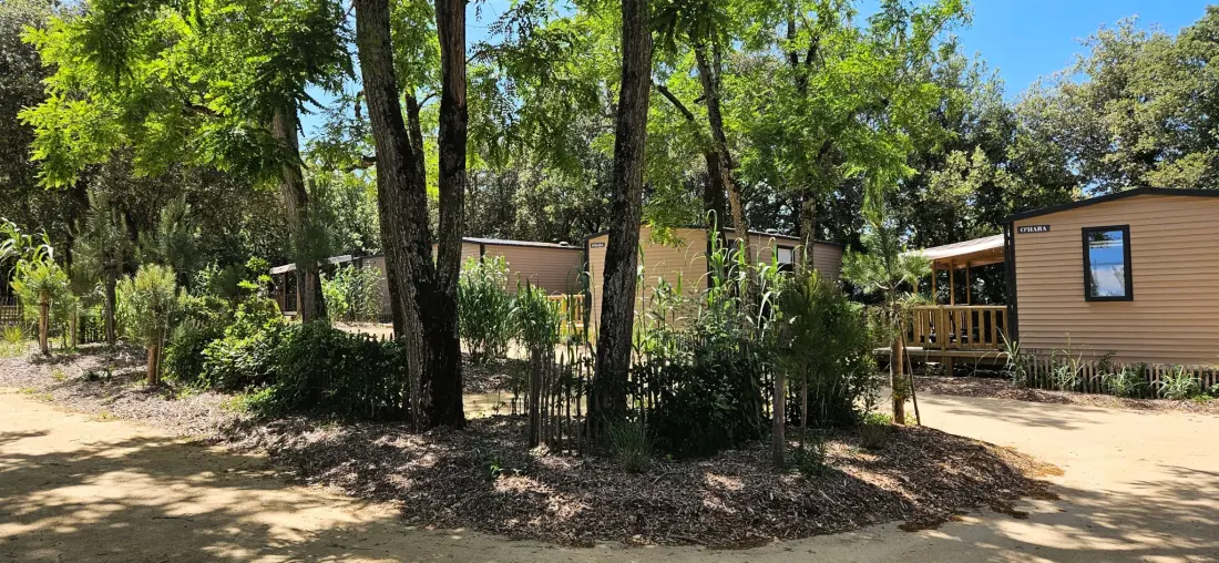 Camping Le Bois Verdon 4 étoiles★★★★