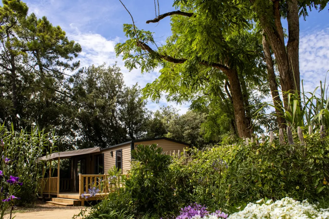 Camping Le Bois Verdon 4 étoiles★★★★