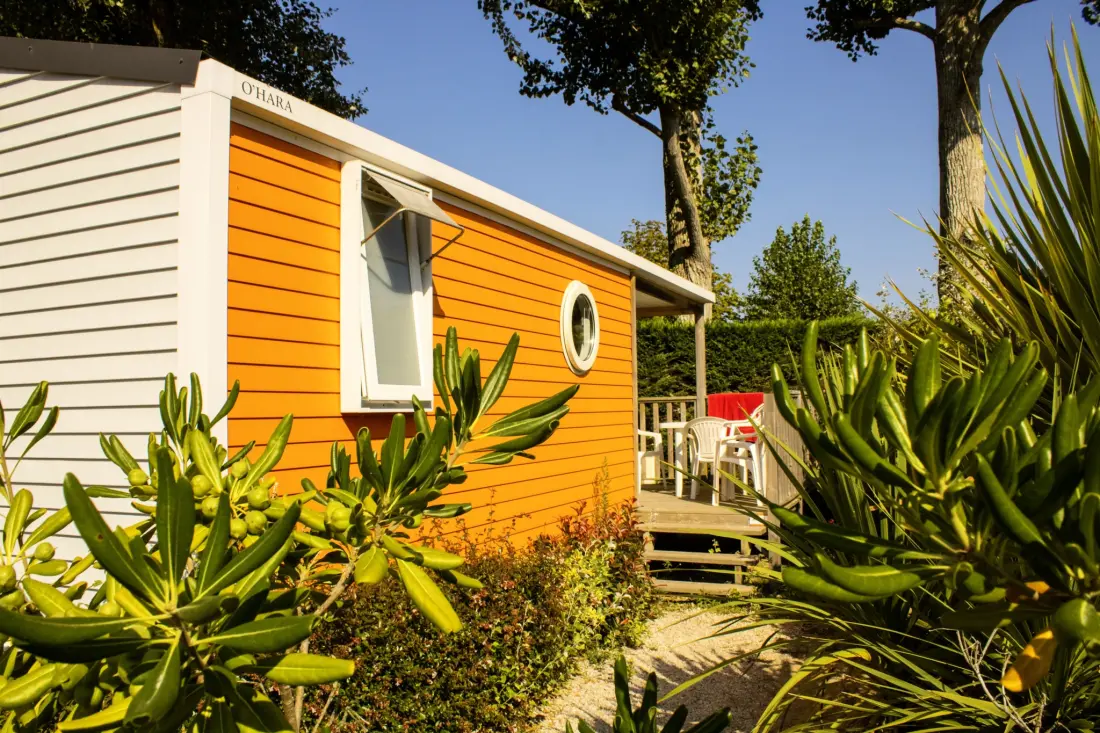 Camping Le Bois Verdon 4 étoiles★★★★