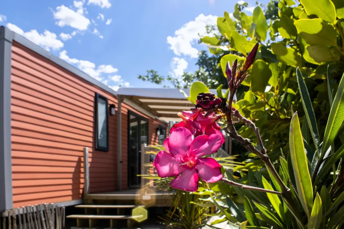 Camping Le Bois Verdon 4 étoiles★★★★