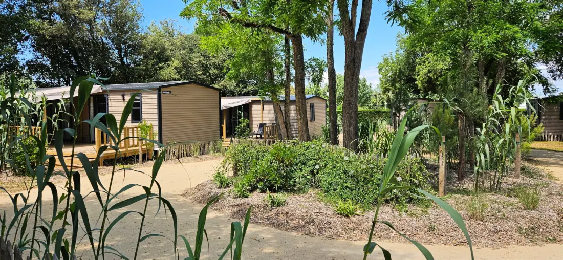 Camping Le Bois Verdon 4 étoiles★★★★