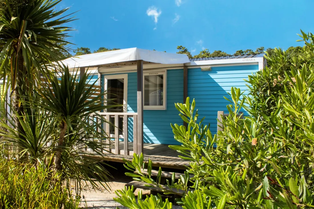 Camping Le Bois Verdon 4 étoiles★★★★