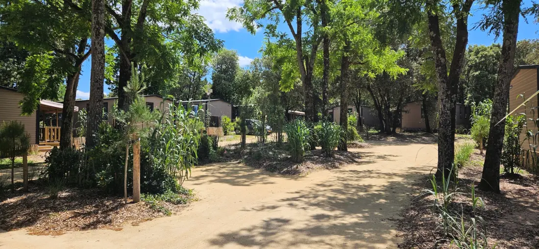 Camping Le Bois Verdon 4 étoiles★★★★