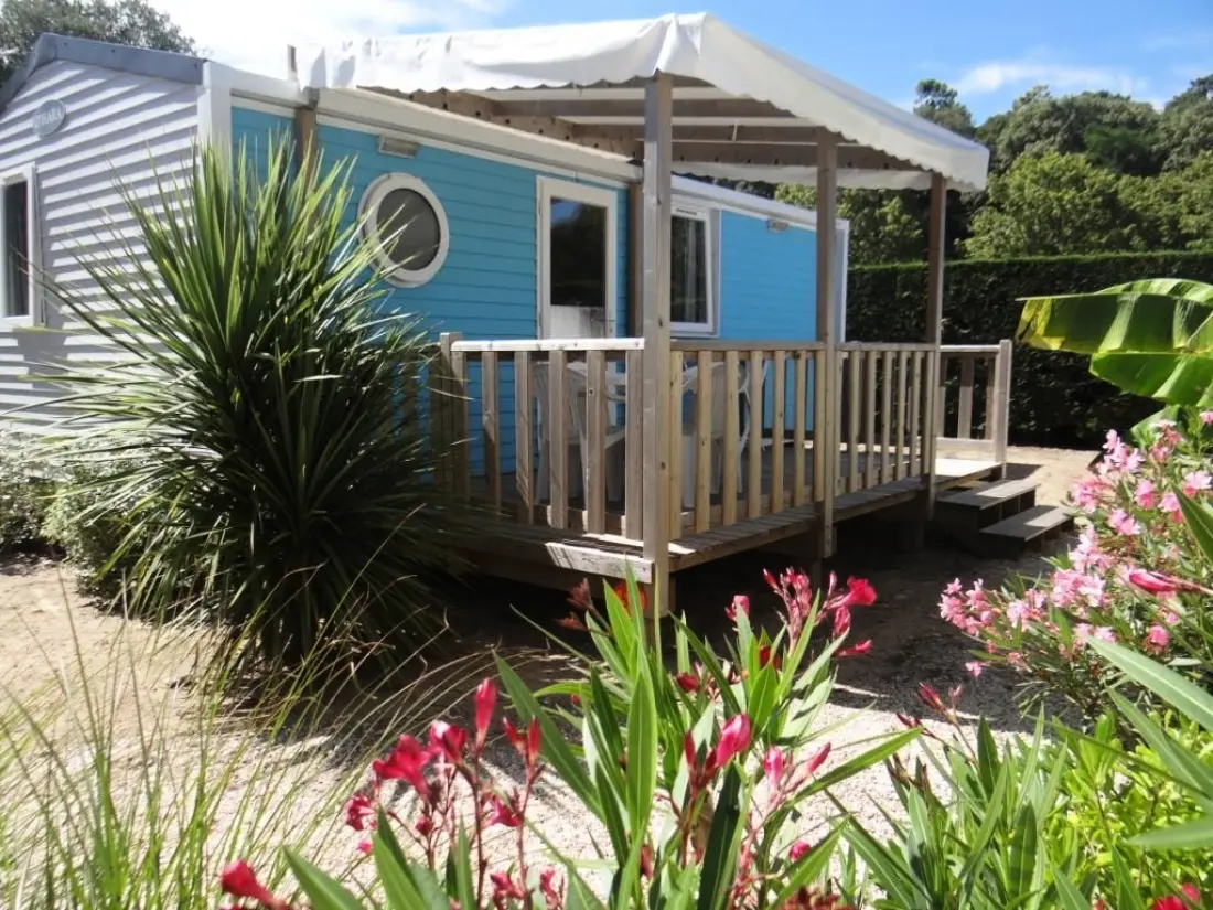 Camping Le Bois Verdon 4 étoiles★★★★