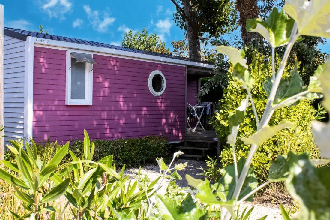 Camping Le Bois Verdon 4 étoiles★★★★