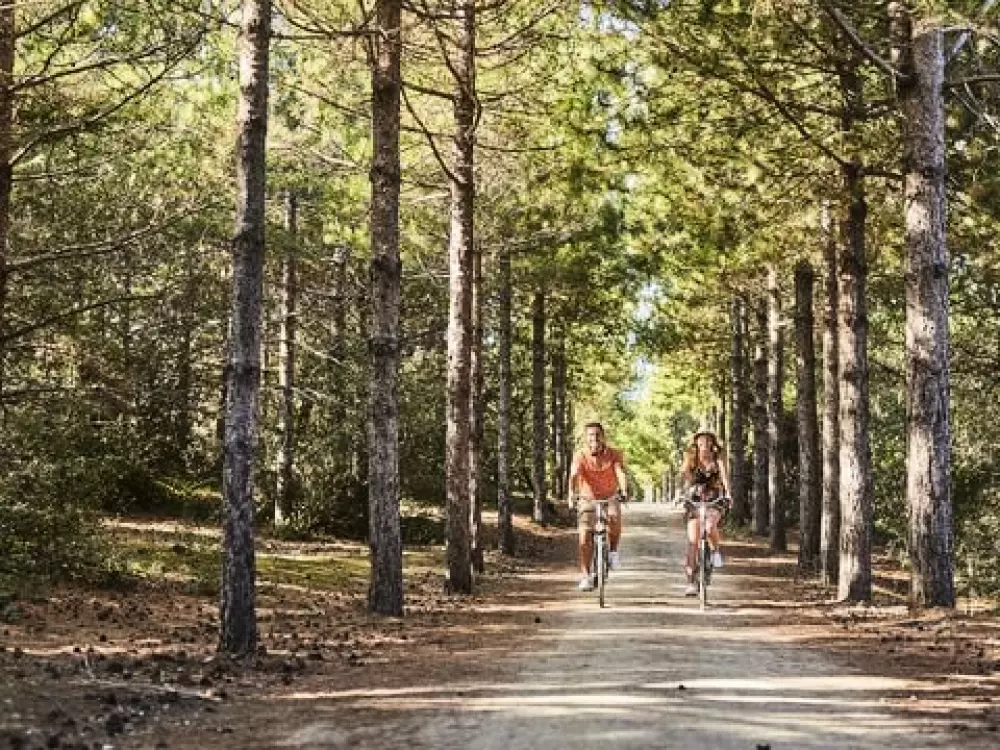 Camping Le Chenal  3 étoiles★★★