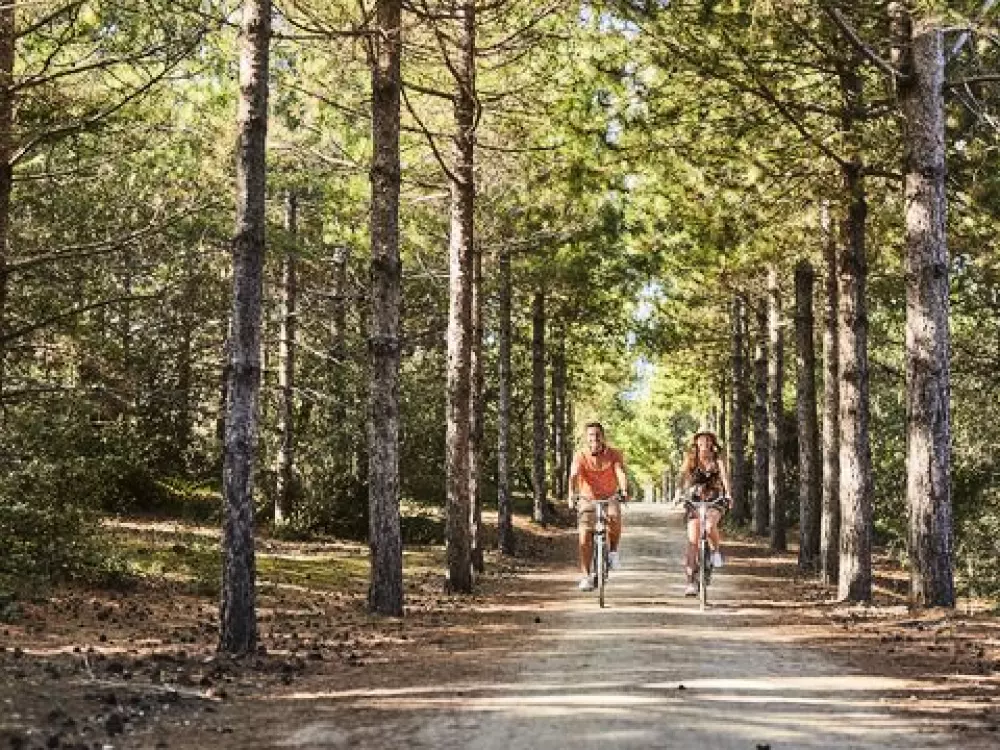 Camping Le Chenal  3 étoiles★★★