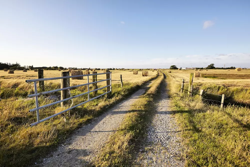 Flower Camping La Davière Plage 4 étoiles★★★★