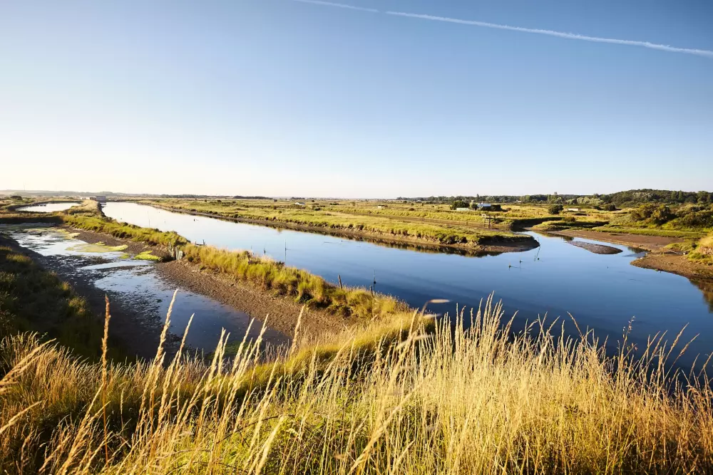 Flower Camping La Davière Plage 4 étoiles★★★★