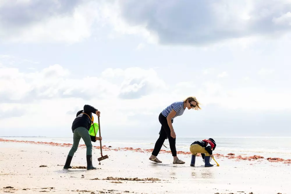 Flower Camping La Davière Plage 4 étoiles★★★★