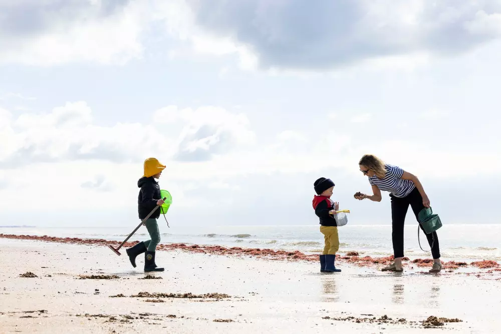 Flower Camping La Davière Plage 4 étoiles★★★★