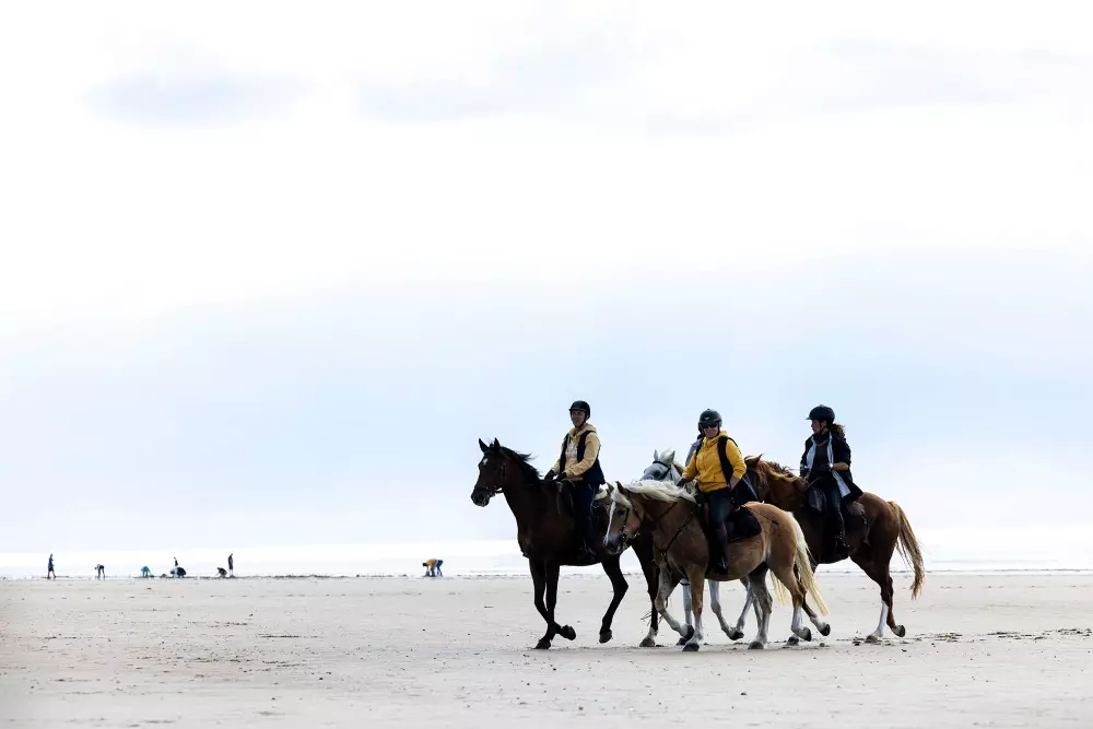 Flower Camping La Davière Plage 4 étoiles★★★★