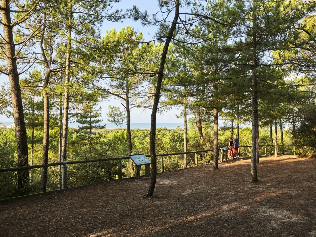 Location de Vacances Saint-Jean-de-Monts 520