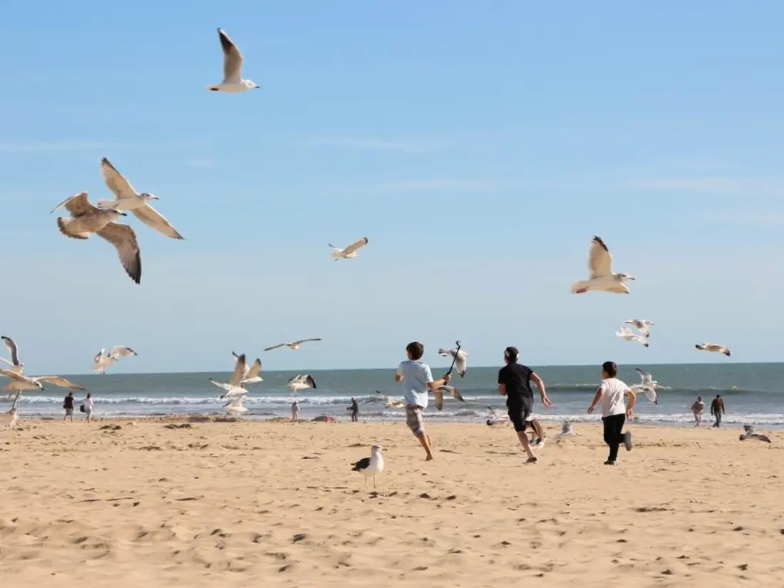 Location de Vacances Saint-Jean-de-Monts 552
