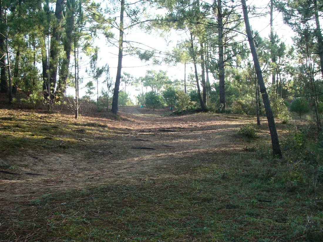 Location de Vacances Saint-Jean-de-Monts 612