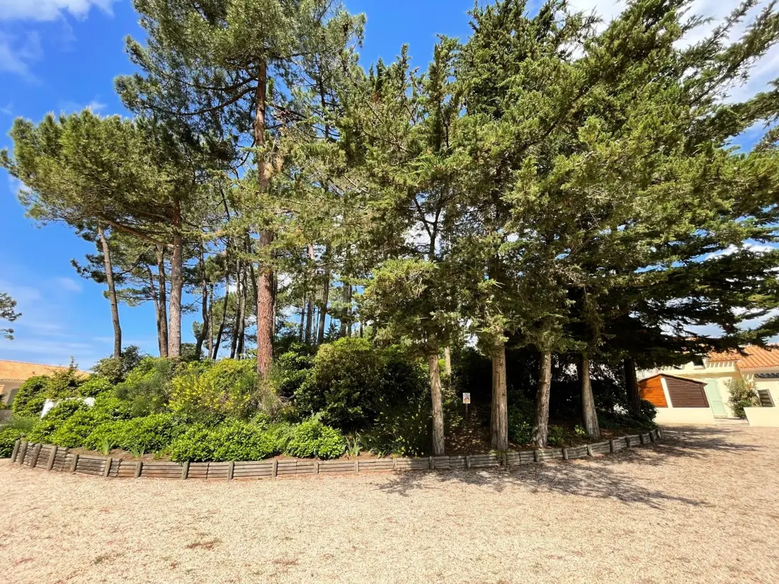 Maison de Vacances Saint-Jean-de-Monts 560