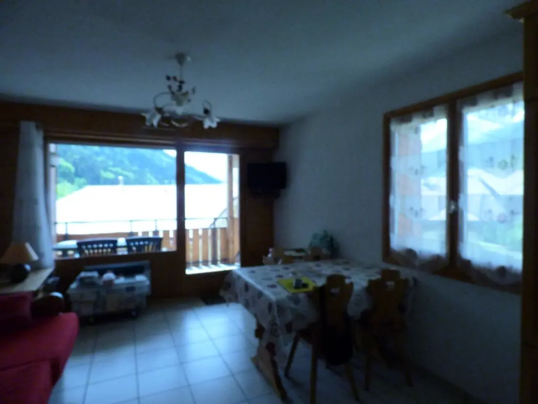 Location de Vacances Saint-Jean-de-Sixt 21