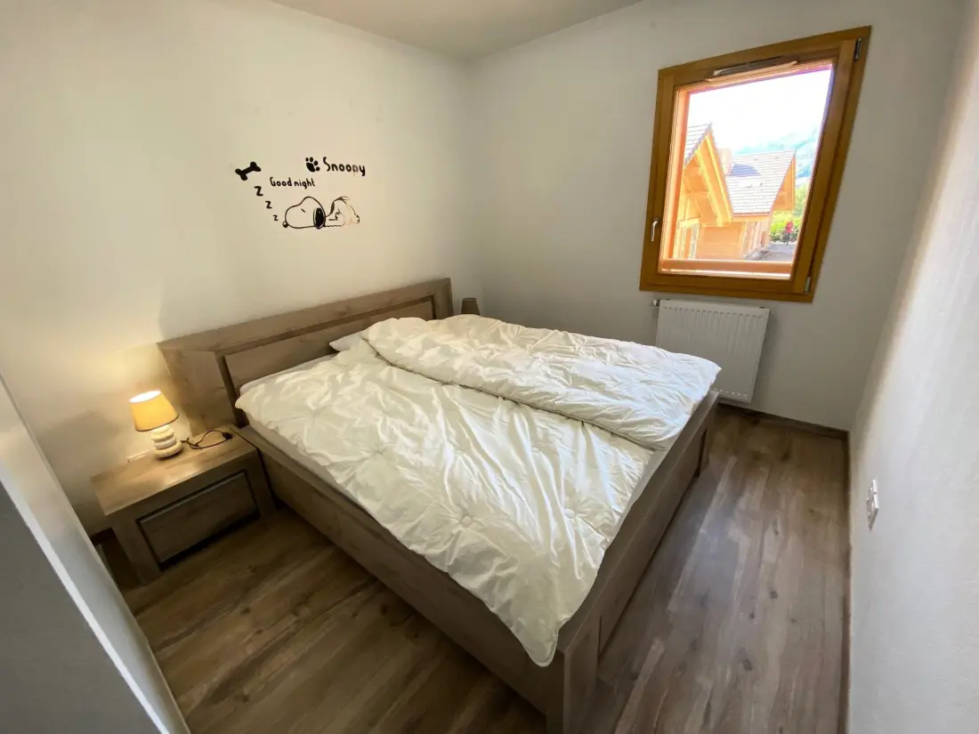 Location de Vacances Saint-Jean-de-Sixt 29