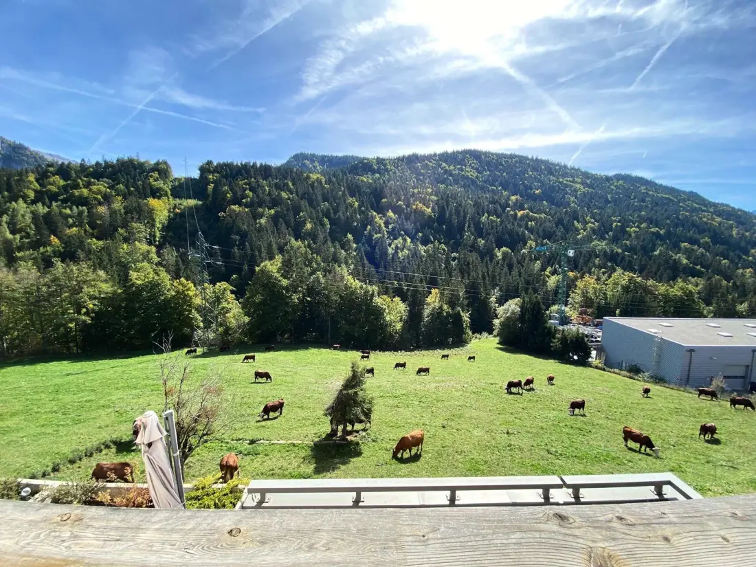 Location de Vacances Saint-Jean-de-Sixt 29