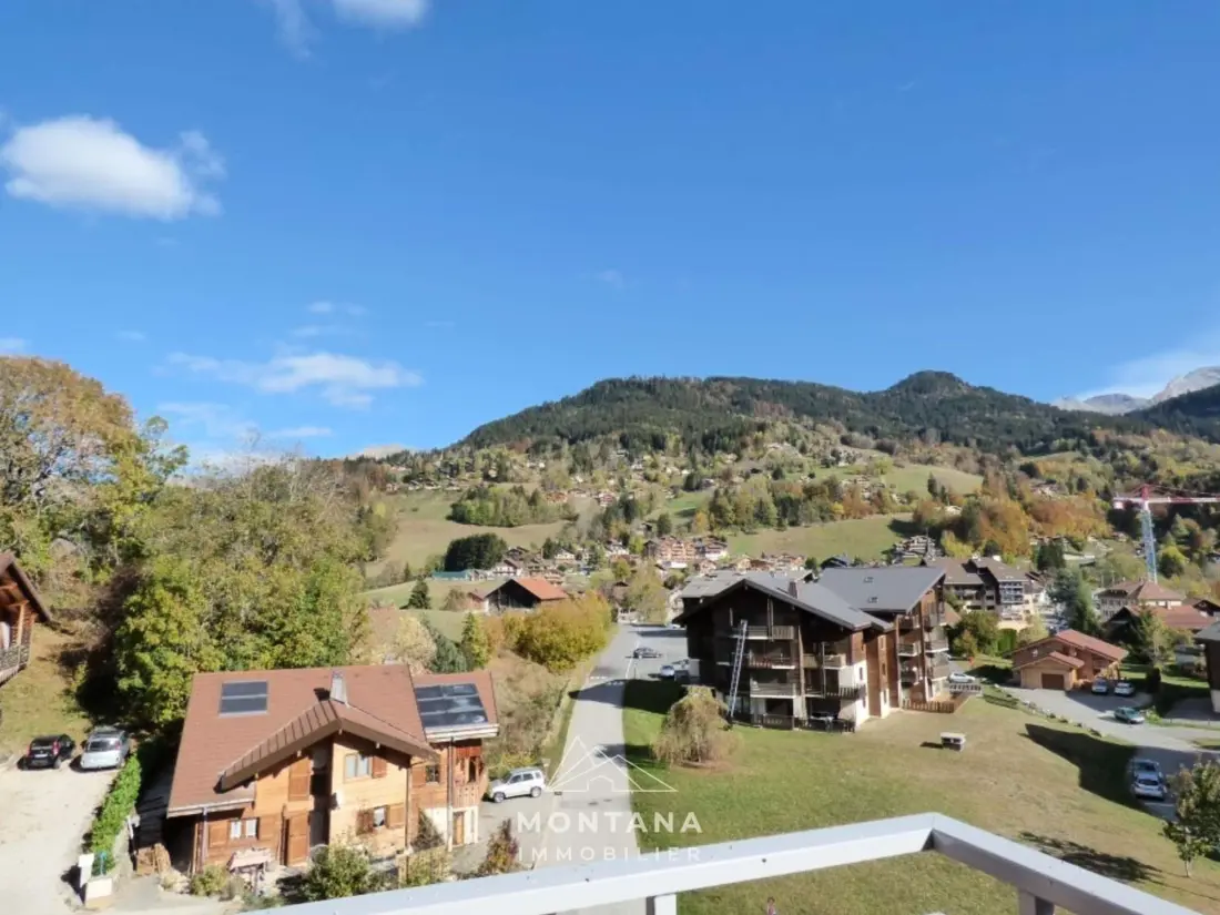 Location de Vacances Saint-Jean-de-Sixt 41