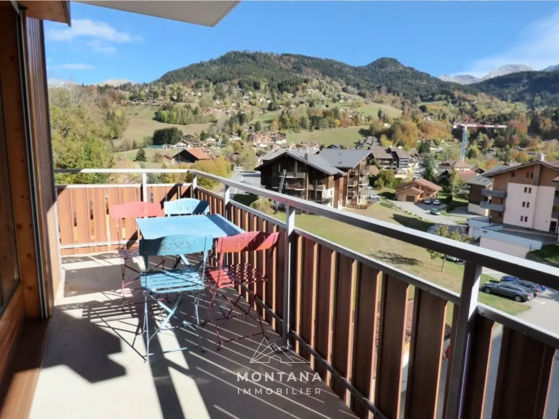 Location de Vacances Saint-Jean-de-Sixt 41