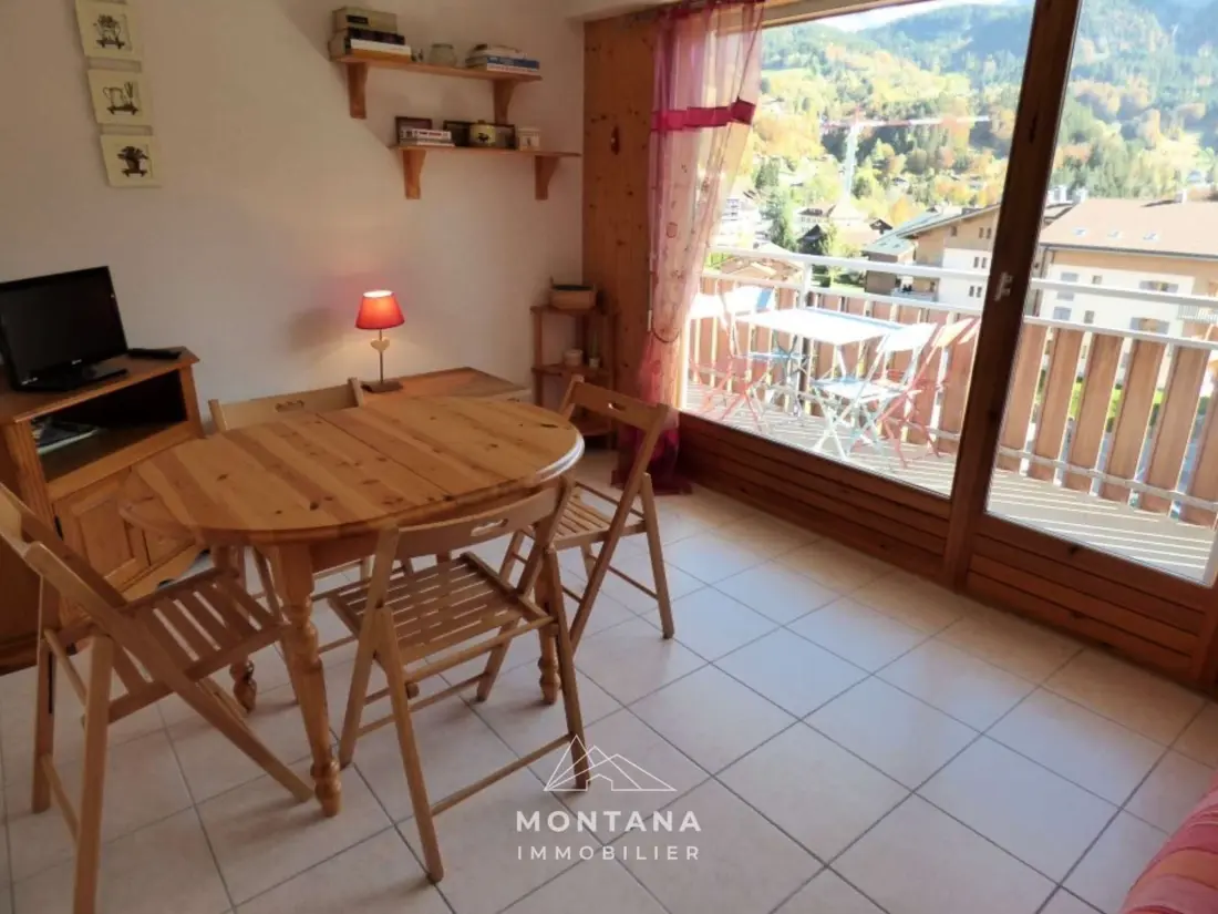 Location de Vacances Saint-Jean-de-Sixt 41