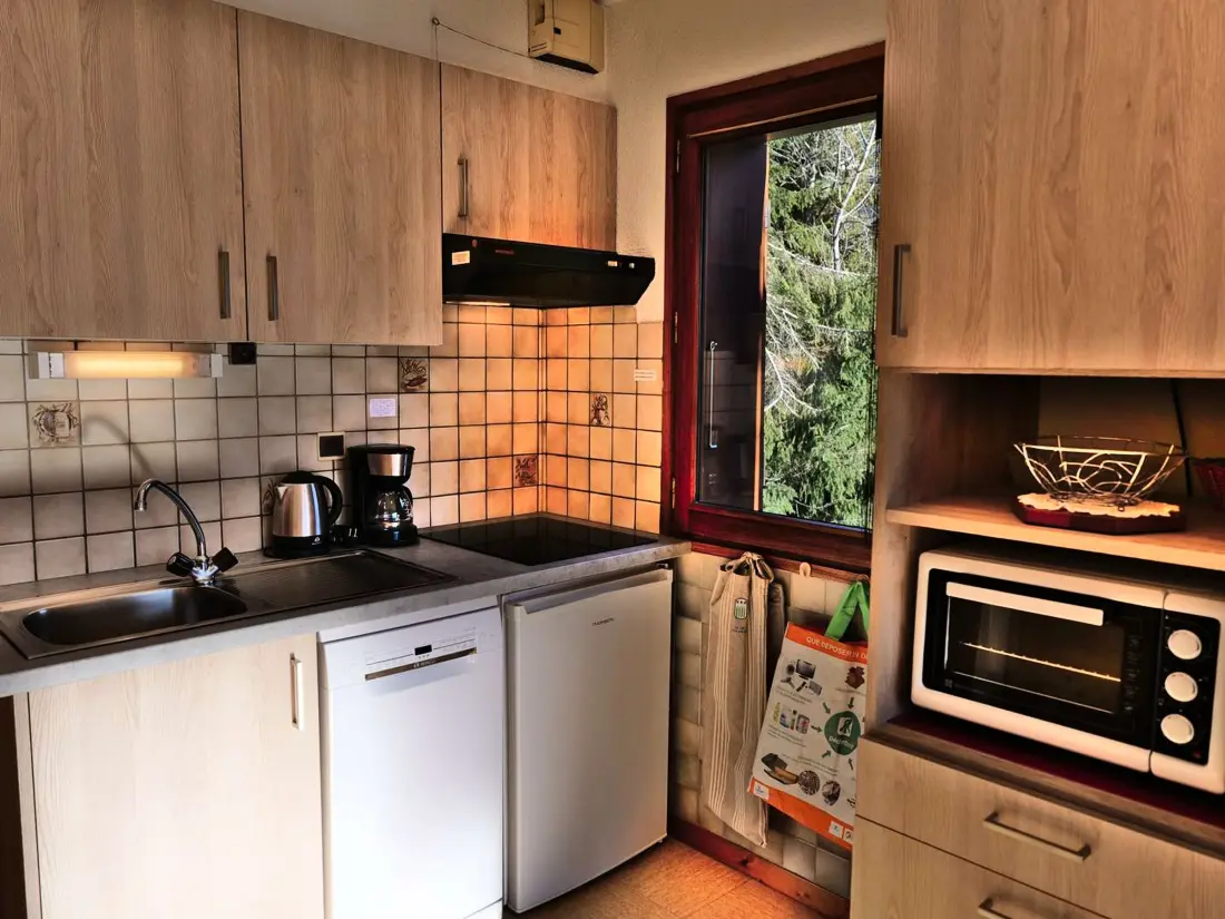 Location de Vacances Saint-Jean-de-Sixt 43