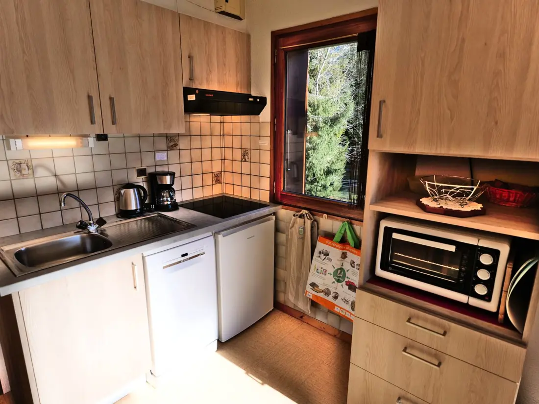 Location de Vacances Saint-Jean-de-Sixt 43