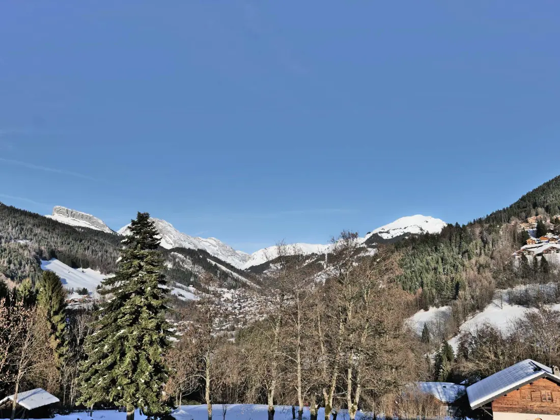 Location de Vacances Saint-Jean-de-Sixt 43