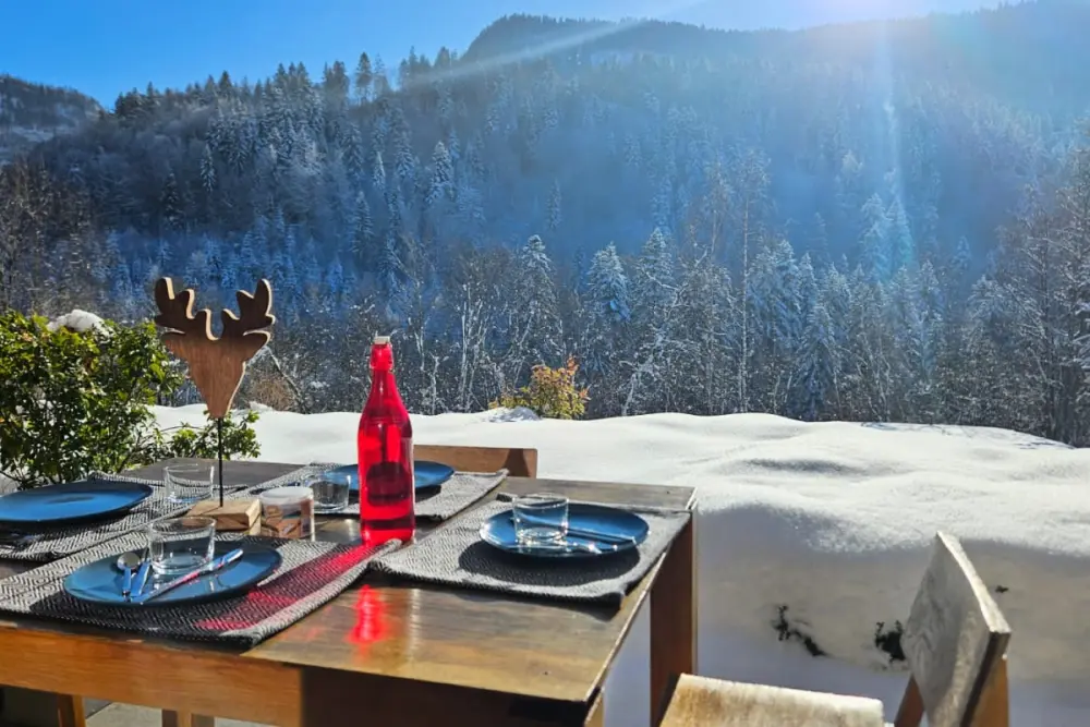 Appartement Avec Terrasse, 8 Pers, Centre Village