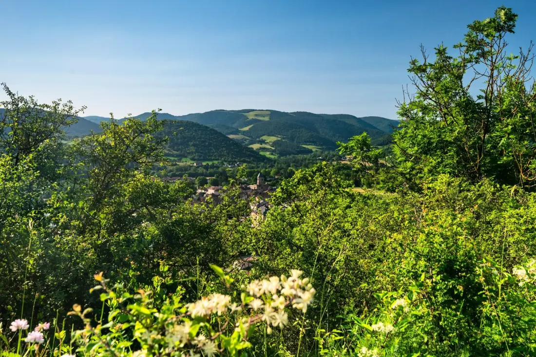 Chalets à Saint Jean du Bruel