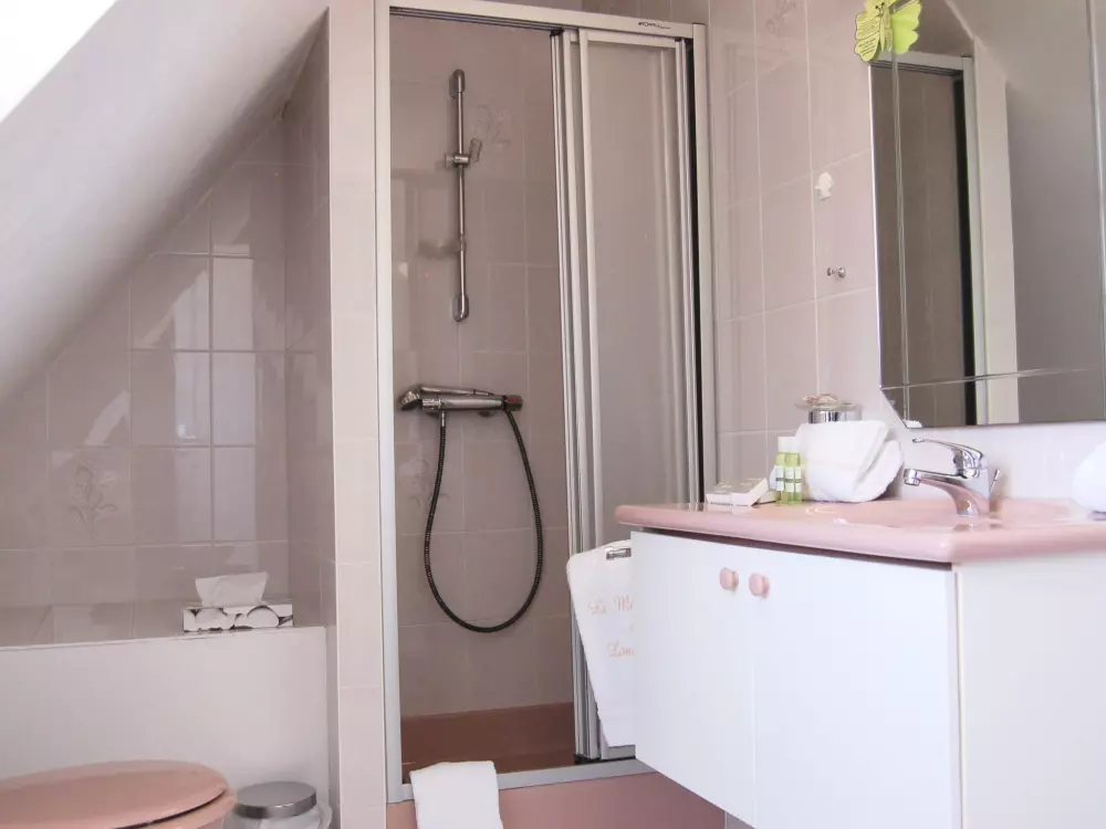 Maison de Vacances St Jouan des Guerets