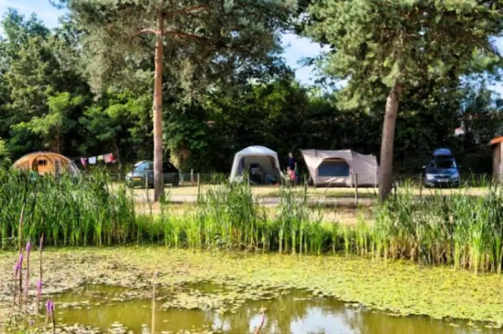 Camping Paradis La Bretonnière 4 étoiles★★★★