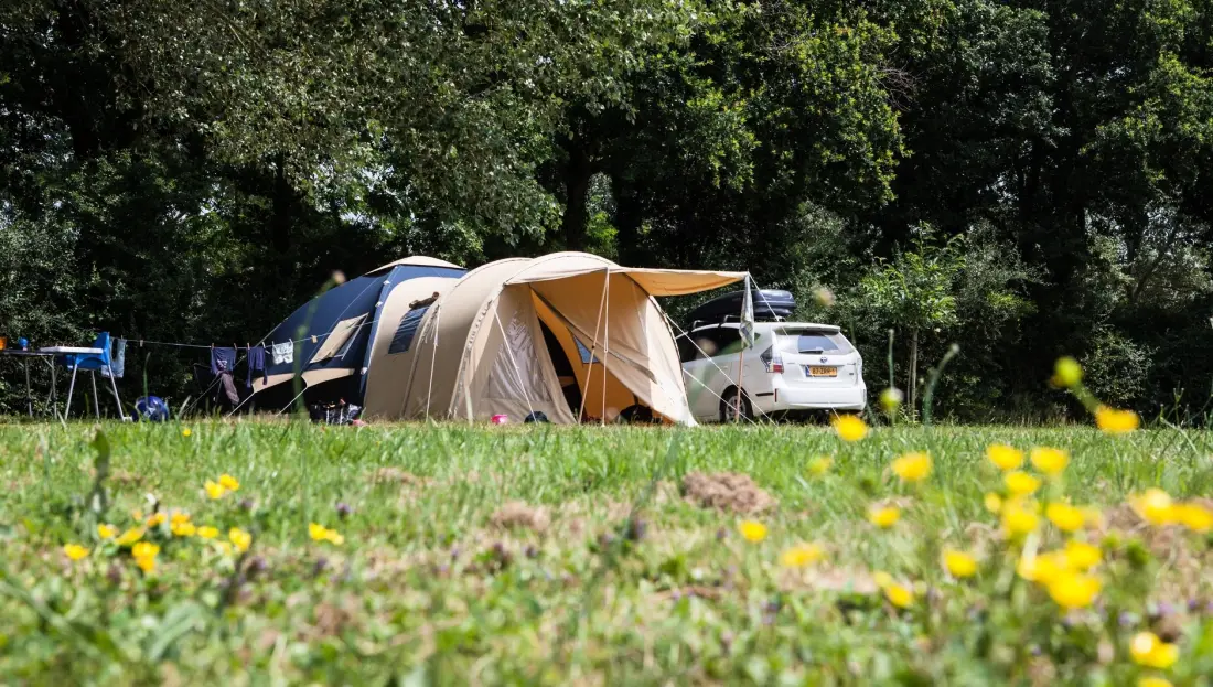 Camping Village de La Guyonnière 5 étoiles★★★★★