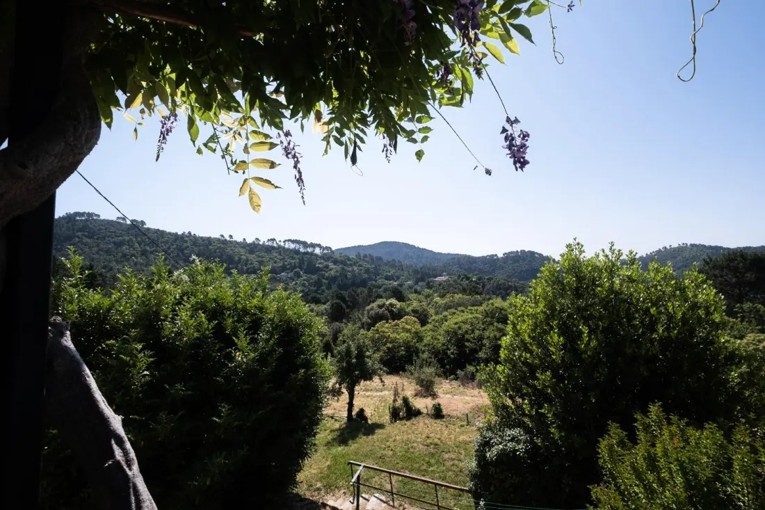 Gîte de France La maison de flavie 3 épis