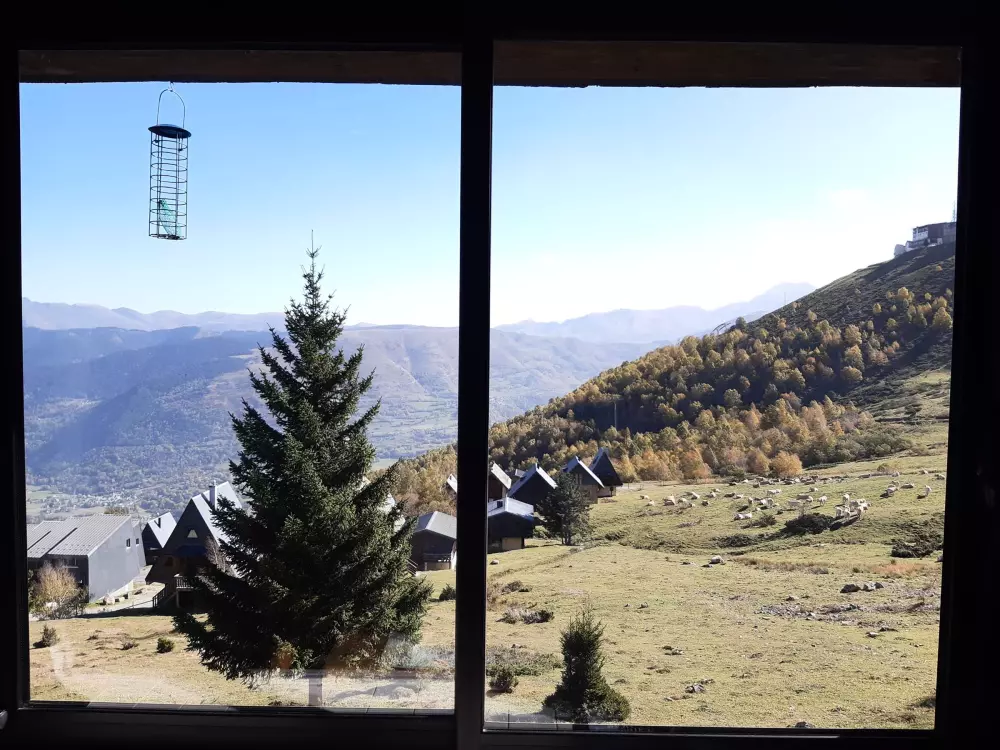 Location de Vacances Saint-Lary-Soulan 203