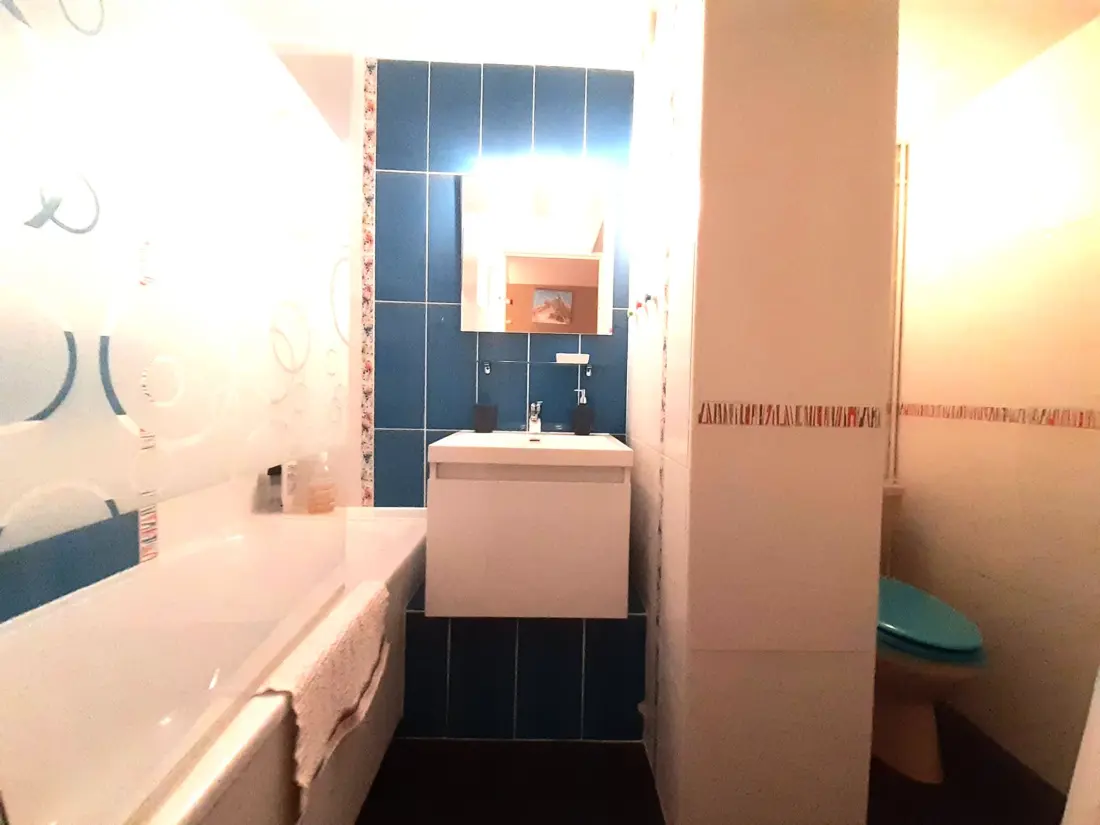 Location de Vacances Saint-Lary-Soulan 213