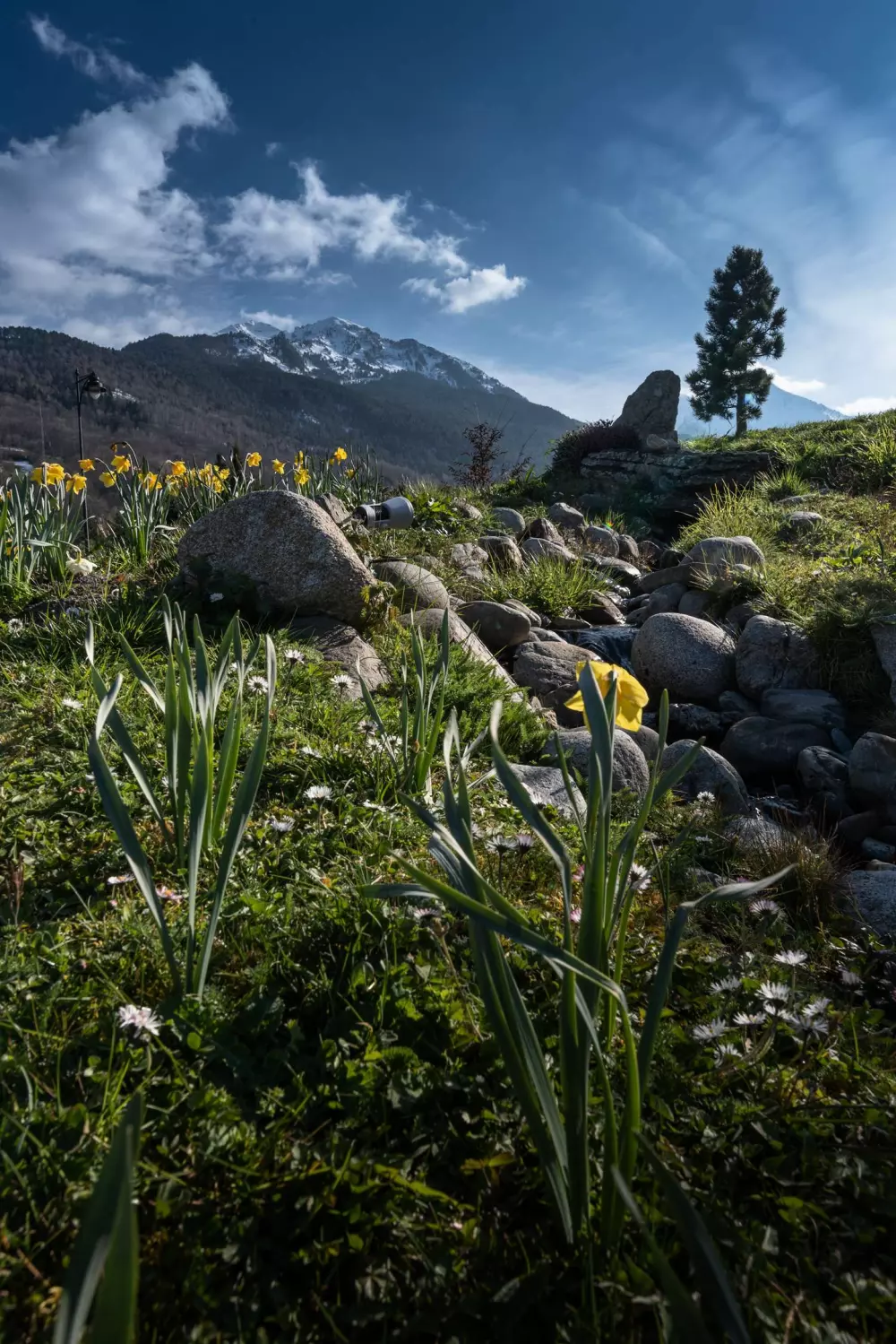 Résidence Cami Real