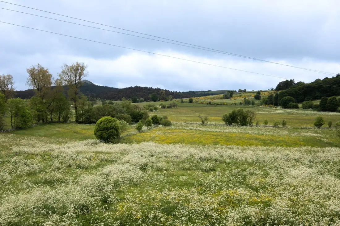 Gîte de France Gîtes de france de sinières 2 épis