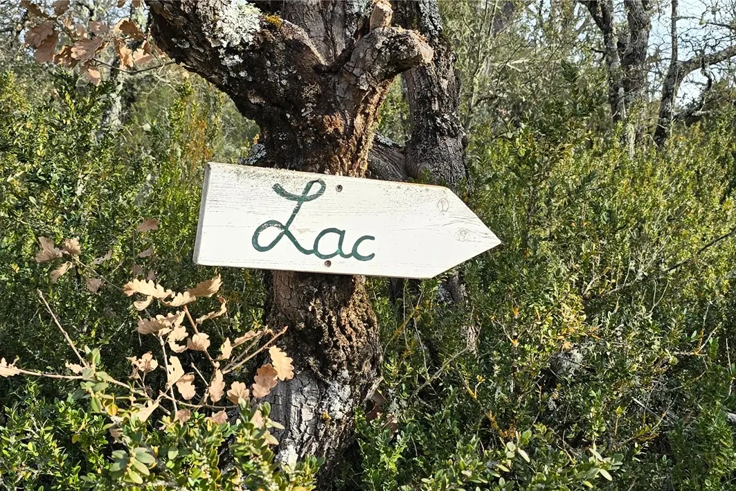 Camping Verdon Les Grands Domaines 31 étoiles★