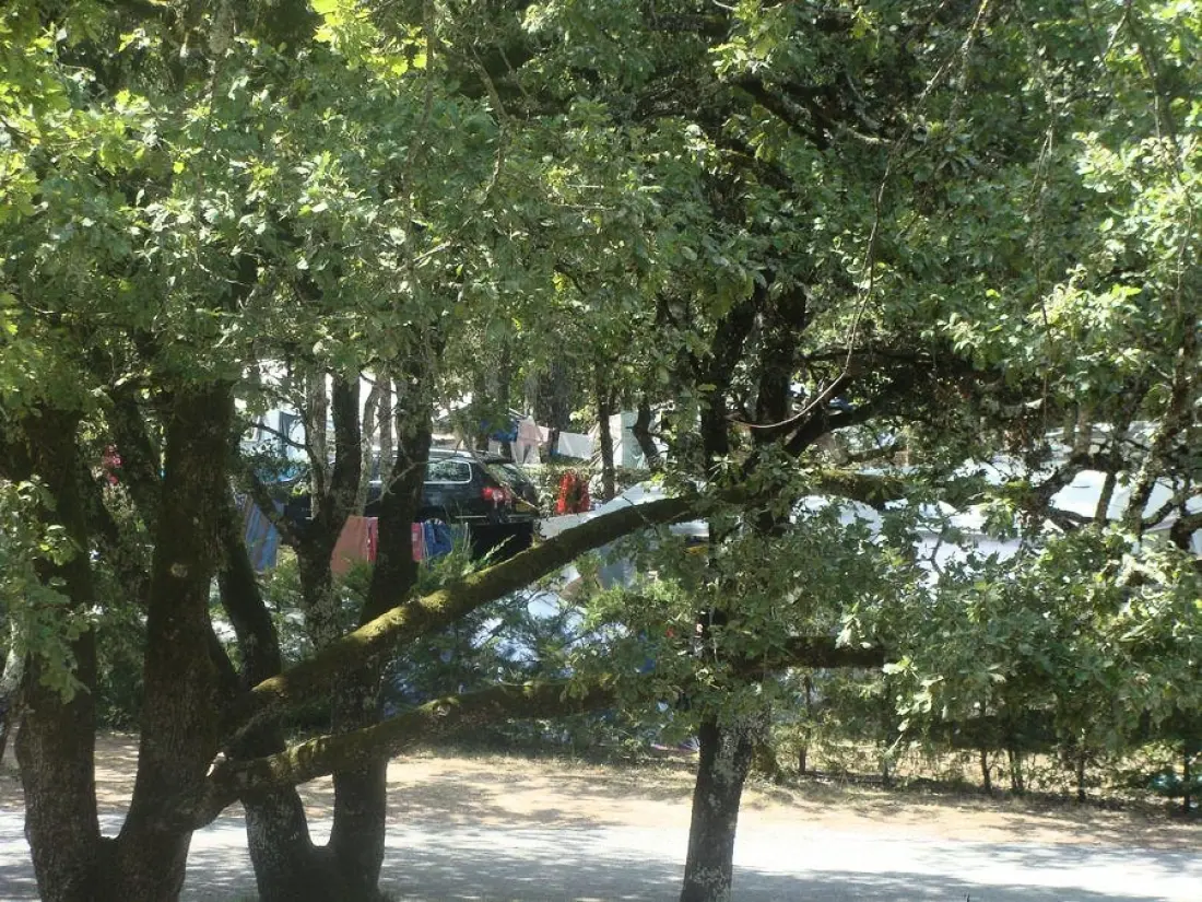 Camping Le Daguet 3 étoiles★★★