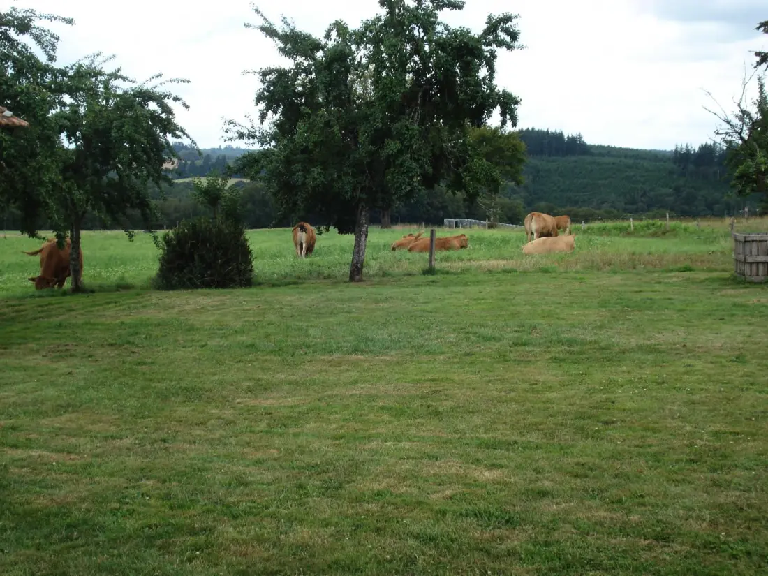 Gîte de France Gîte des rousses 3 épis